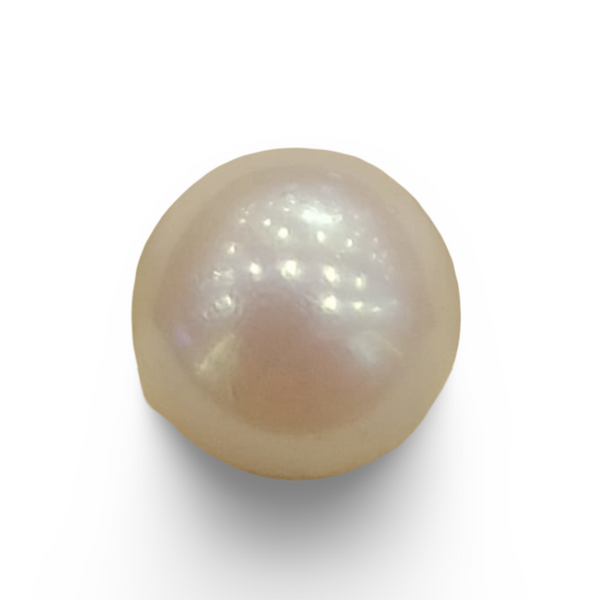 Natural South Sea Pearl – A Symbol of Elegance & Purity Summary No IGCDKBAJ42601 image 0