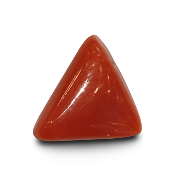 Natural Italian Red Coral (Moonga) triangular cabochon, untreated, certified IGCDKBAJ42411