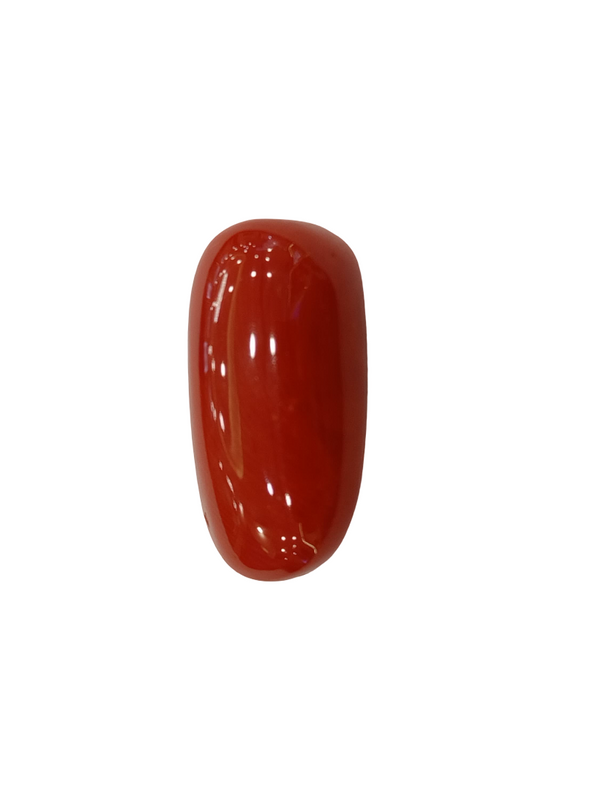 Natural Red Coral | Certified |Capsule Cut Gemstone Summary No. IGCDKBAJ46131 image 1