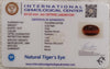 Tiger Eye The Essence of Grounding and Strength Summary No IGCDKBAJ44768 image 2
