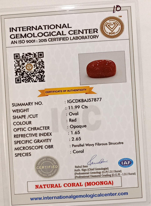 Natural Red Coral | Certified | Oval Cut Gemstone Summary No. IGCDKBAJ57877 image 2