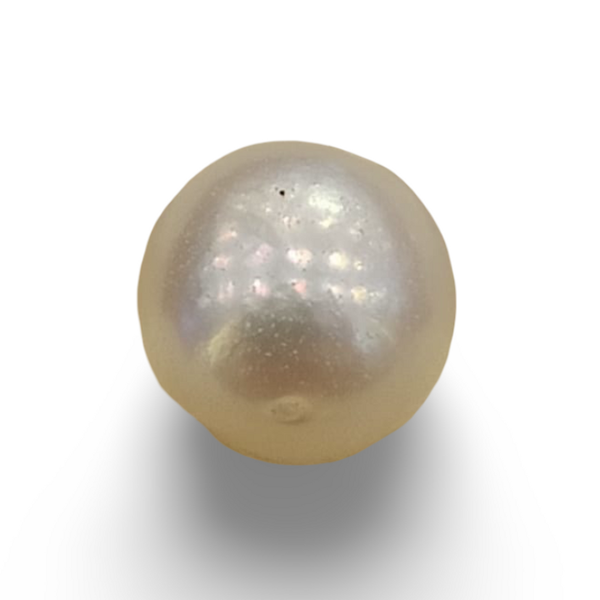 Natural South Sea Pearl (Moti) loose gemstone, IGC certified IGCDKBAJ42600