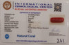 Natural Red Coral | Certified |Capsule Cut Gemstone Summary No. IGCDKBAJ44873 image 2