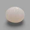 Natural White Coral (Safed Moonga) certified loose gemstone, report no. IGCDKBAJ41508