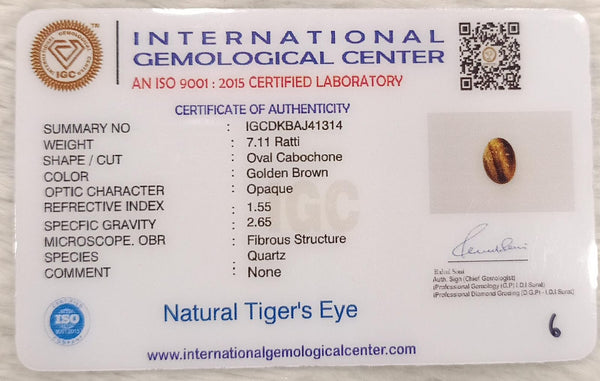 Tiger Eye The Essence of Grounding and Strength Summary No IGCDKBAJ41314 image 2