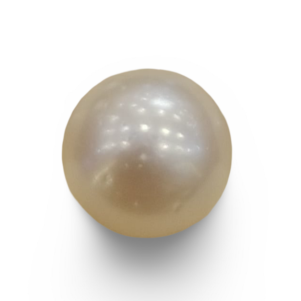 Natural South Sea Pearl (Moti) loose gemstone, IGC certified IGCDKBAJ42596
