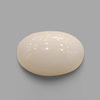 Natural White Coral (Safed Moonga) certified loose gemstone, report no. IGCDKBAJ41509