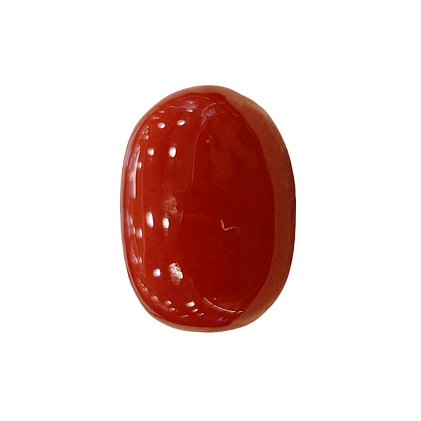 Natural Red Coral | Certified | Oval Cut Gemstone Summary No. IGCDKBAJ57885 image 1