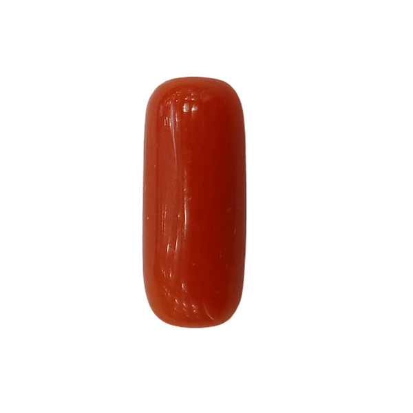 Natural Red Coral | Certified |Capsule Cut Gemstone Summary No. IGCDKBAJ44981 image 1