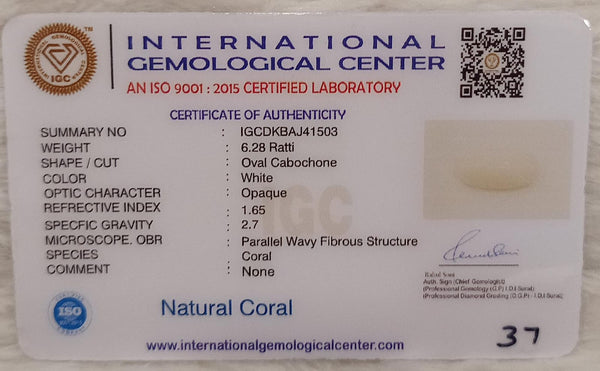 Natural White Coral: The Symbol of Peace and Strength Summary No IGCDKBAJ41503 image 2