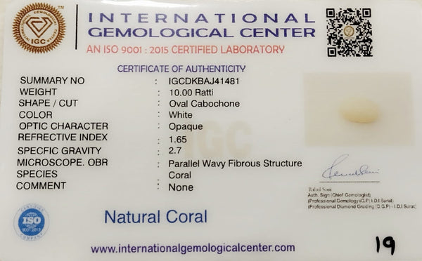 Natural White Coral: The Symbol of Peace and Strength Summary No IGCDKBAJ41481 image 2