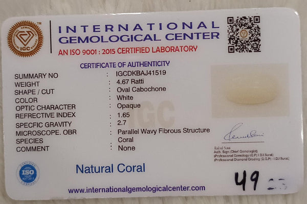 Natural White Coral: The Symbol of Peace and Strength Summary No IGCDKBAJ41519 image 2
