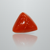 Natural Italian Red Coral (Moonga) triangular cabochon, untreated, certified IGCDKBAJ42419