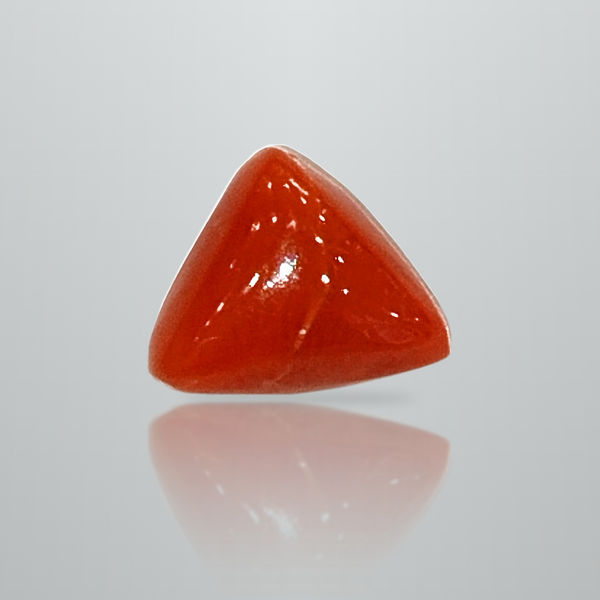 Natural Italian Red Coral (Moonga) triangular cabochon, untreated, certified IGCDKBAJ42419