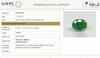 Natural Emerald | Oval Mixed Cut | Semi-Transparent | Govt. Certified No.: 8980D36562 image 1