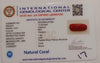 NaturalRed Coral | Certified|Capsule CutGemstone Summary No. IGCDKBAJ47485 image 2