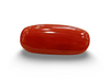Natural Red Coral | Certified | Capsule Cut Gemstone Summary No. IGCDKBAJ57880 image 0