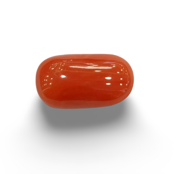 NaturalRed Coral | Certified| Oval CutGemstone Summary No. IGCDKBAJ47488 image 0