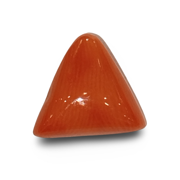 Natural Italian Red Coral | Certified Triangular Cabochon Moonga | Untreated Gemstone IGCDKBAJ42404 image 0