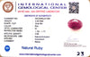 Natural Ruby | Oval Mix Cut | IGC Certified | Deep Red Gemstone No.: IGCDKBAJ41393 image 2