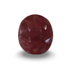 Natural Ruby | Oval Cut | Rich Red Hue | IGC Certified Certificate No.: IGCDKBAJ44813 image 1