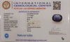 Natural Iolite| Govt. Lab Certified | Oval Mix |Blue withCertificate No.: IGCDKBAJ41554 image 2