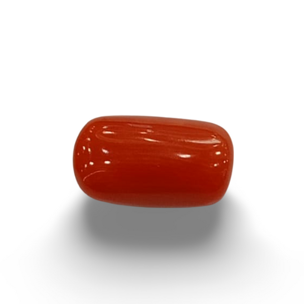 Natural Red Coral | Certified |Capsule Cut Gemstone Summary No. IGCDKBAJ44905 image 0