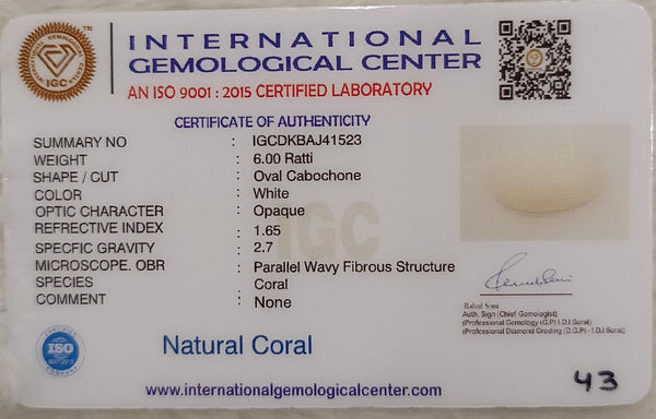 Natural White Coral: The Symbol of Peace and Strength Summary No IGCDKBAJ41523 image 2