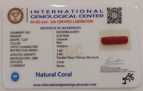 NaturalRed Coral | Certified|Capsule CutGemstone Summary No. IGCDKBAJ44870 image 2