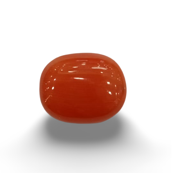 NaturalRed Coral | Certified| Oval CutGemstone Summary No. IGCDKBAJ48754 image 0