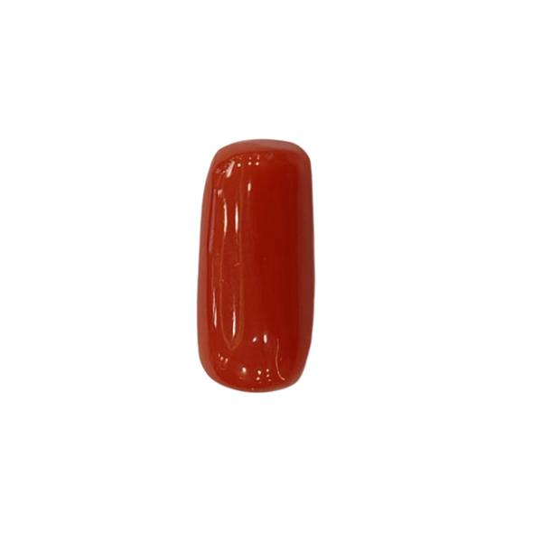 Natural Red Coral | Certified |Capsule Cut Gemstone Summary No. IGCDKBAJ44859 image 1