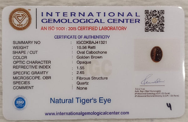 Tiger Eye The Essence of Grounding and Strength Summary No IGCDKBAJ41321 image 2