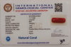 NaturalRed Coral | Certified| Capsule CutGemstone Summary No. IGCDKBAJ44922 image 2