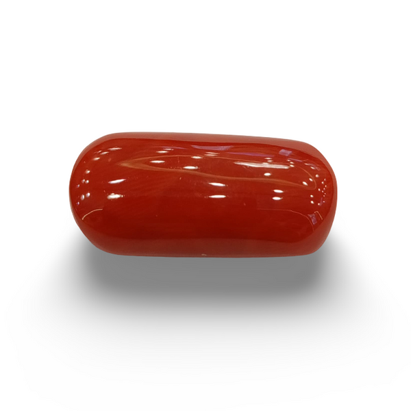 Natural Red Coral | Certified |Capsule Cut Gemstone Summary No. IGCDKBAJ44849 image 0