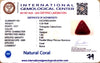 Natural Italian Red Coral | Certified Triangular Cabochon Moonga | Untreated Gemstone IGCDKBAJ42454 image 1