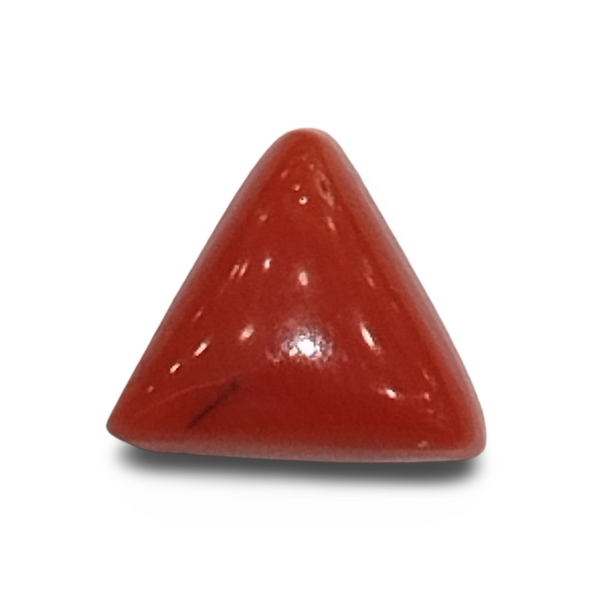Natural Italian Red Coral | Certified Triangular Cabochon Moonga | Untreated Gemstone IGCDKBAJ42426 image 0