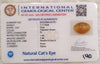 Natural Cat’s Eye: The Stone of Ketu for Protection and Spiritual Growth Summary No IGCDKBAJ44751 image 2