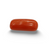 Natural Red Coral | Certified |Capsule Cut Gemstone Summary No. IGCDKBAJ44990 image 0