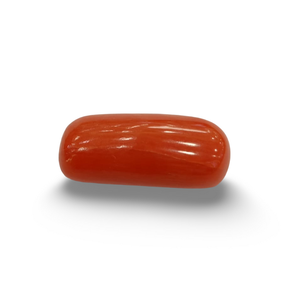 Natural Red Coral | Certified |Capsule Cut Gemstone Summary No. IGCDKBAJ44990 image 0