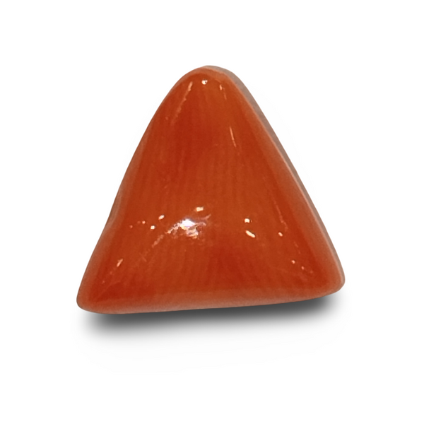 Natural Italian Red Coral | Certified Triangular Cabochon Moonga | Untreated Gemstone IGCDKBAJ42373 image 0