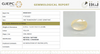 Natural Yellow Sapphire | Oval Mixed Cut | Transparent | Govt. Lab Certified | Unheated | 8980D36551 image 1