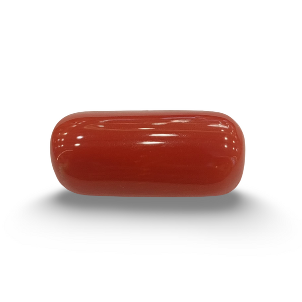 Natural Red Coral | Certified |Capsule Cut Gemstone Summary No. IGCDKBAJ44725 image 0