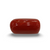 Natural Red Coral | Certified |Capsule Cut Gemstone Summary No. IGCDKBAJ44724 image 0