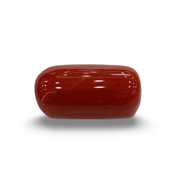 Natural Red Coral | Certified |Capsule Cut Gemstone Summary No. IGCDKBAJ44724 image 0