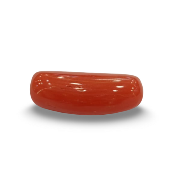 NaturalRed Coral | Certified| Capsule CutGemstone Summary No. IGCDKBAJ44973 image 0