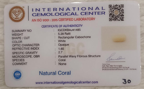 Natural White Coral: The Symbol of Peace and Strength Summary No IGCDKBAJ41485 image 2