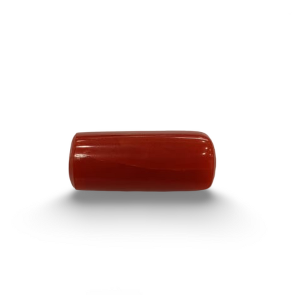 Natural Red Coral | Certified |Capsule Cut Gemstone Summary No. IGCDKBAJ44960 image 0
