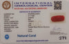 NaturalRed Coral | Certified| Capsule CutGemstone Summary No. IGCDKBAJ44973 image 2