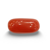 NaturalRed Coral | Certified| Oval CutGemstone Summary No. IGCDKBAJ44876 image 0