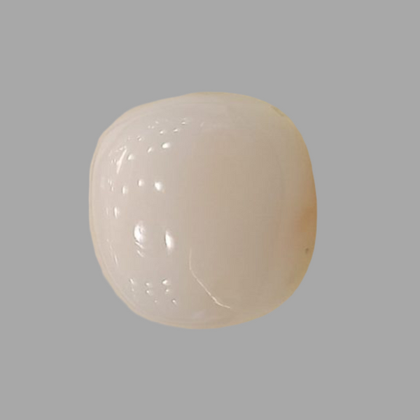 Natural White Coral: The Symbol of Peace and Strength Summary No IGCDKBAJ41537 image 1